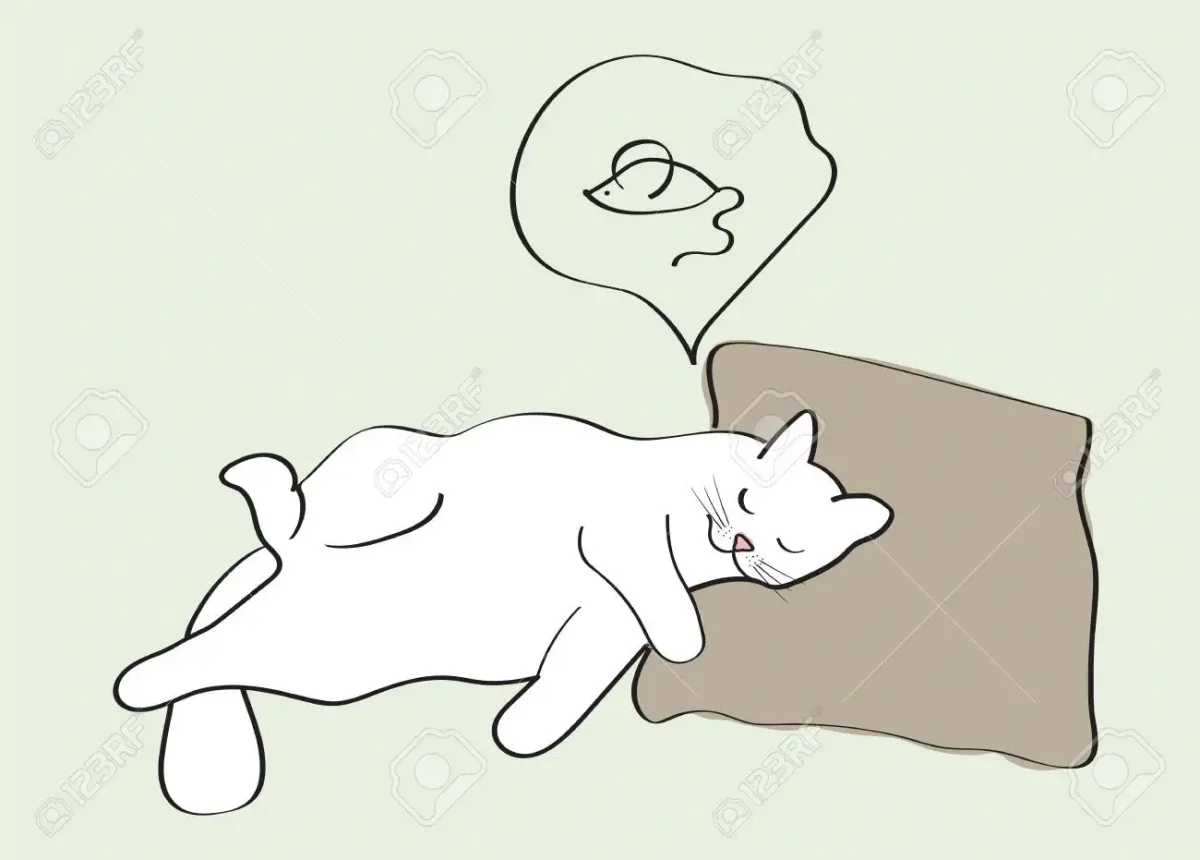 Кот мечтает