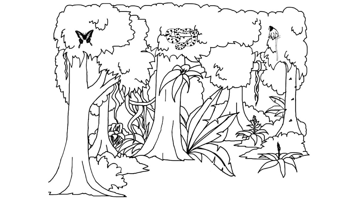 Лес раскраска для детей