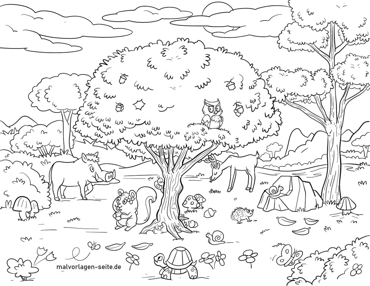 В лесу. Раскраска