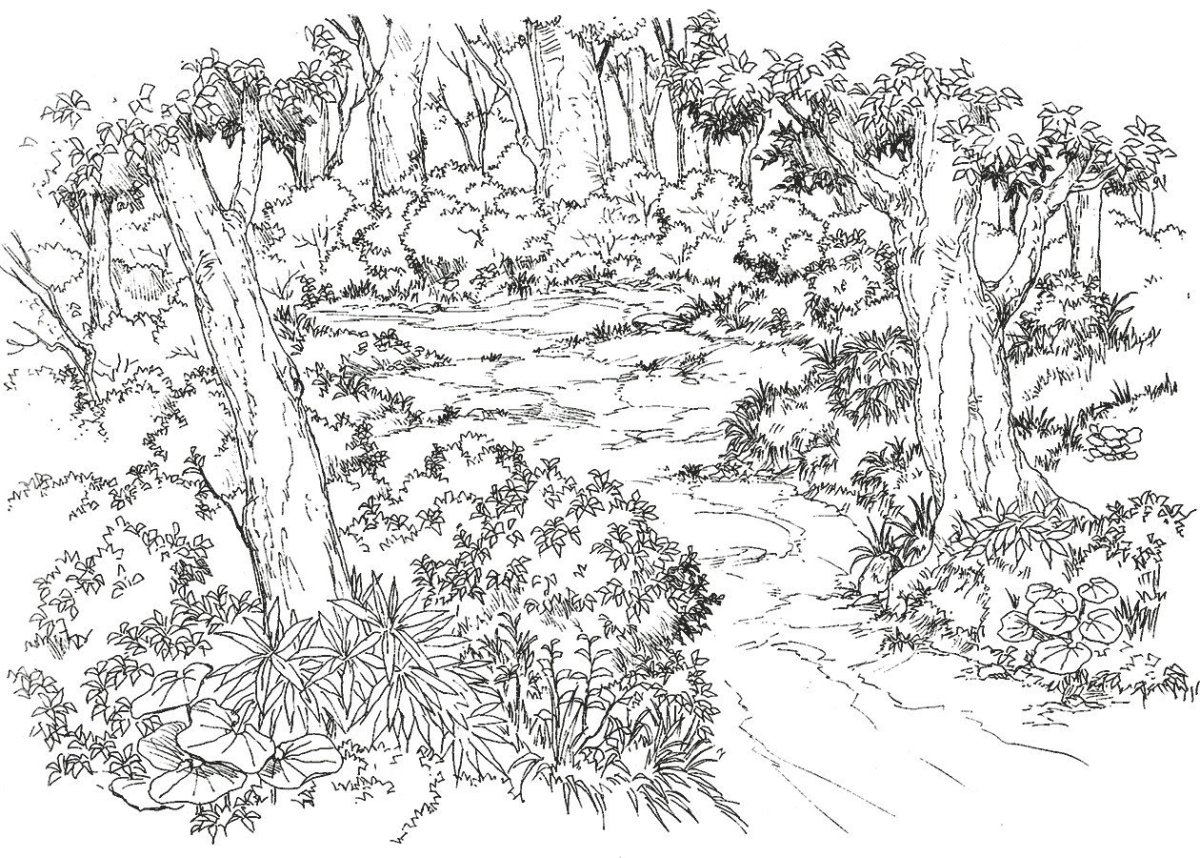 Раскраска Лесная Поляна