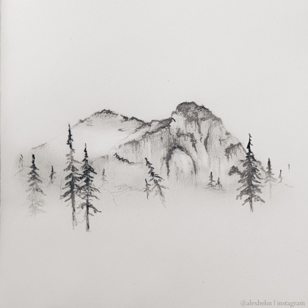 Еловый лес эскиз