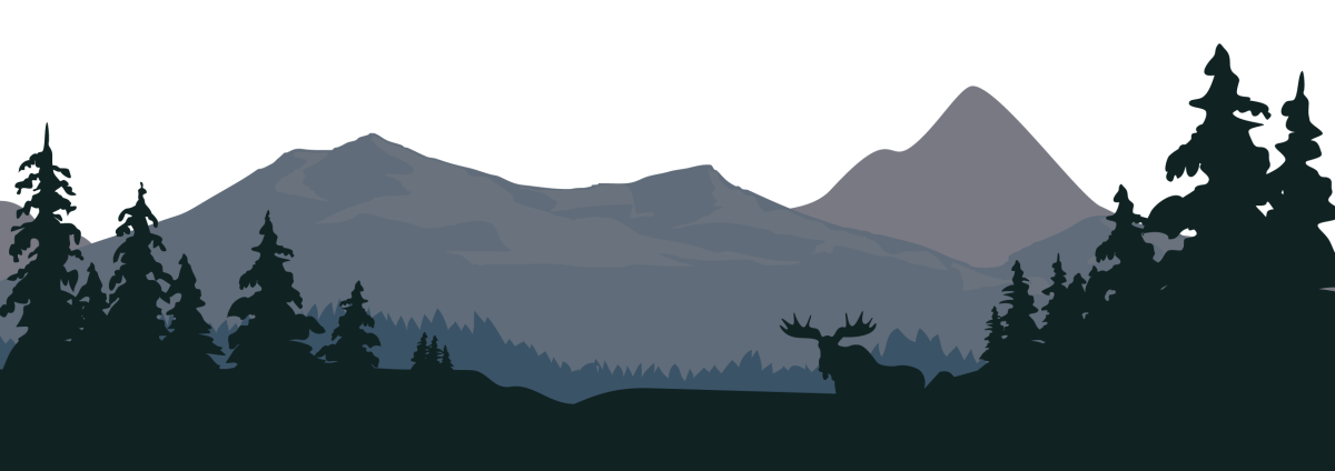 Силуэт леса