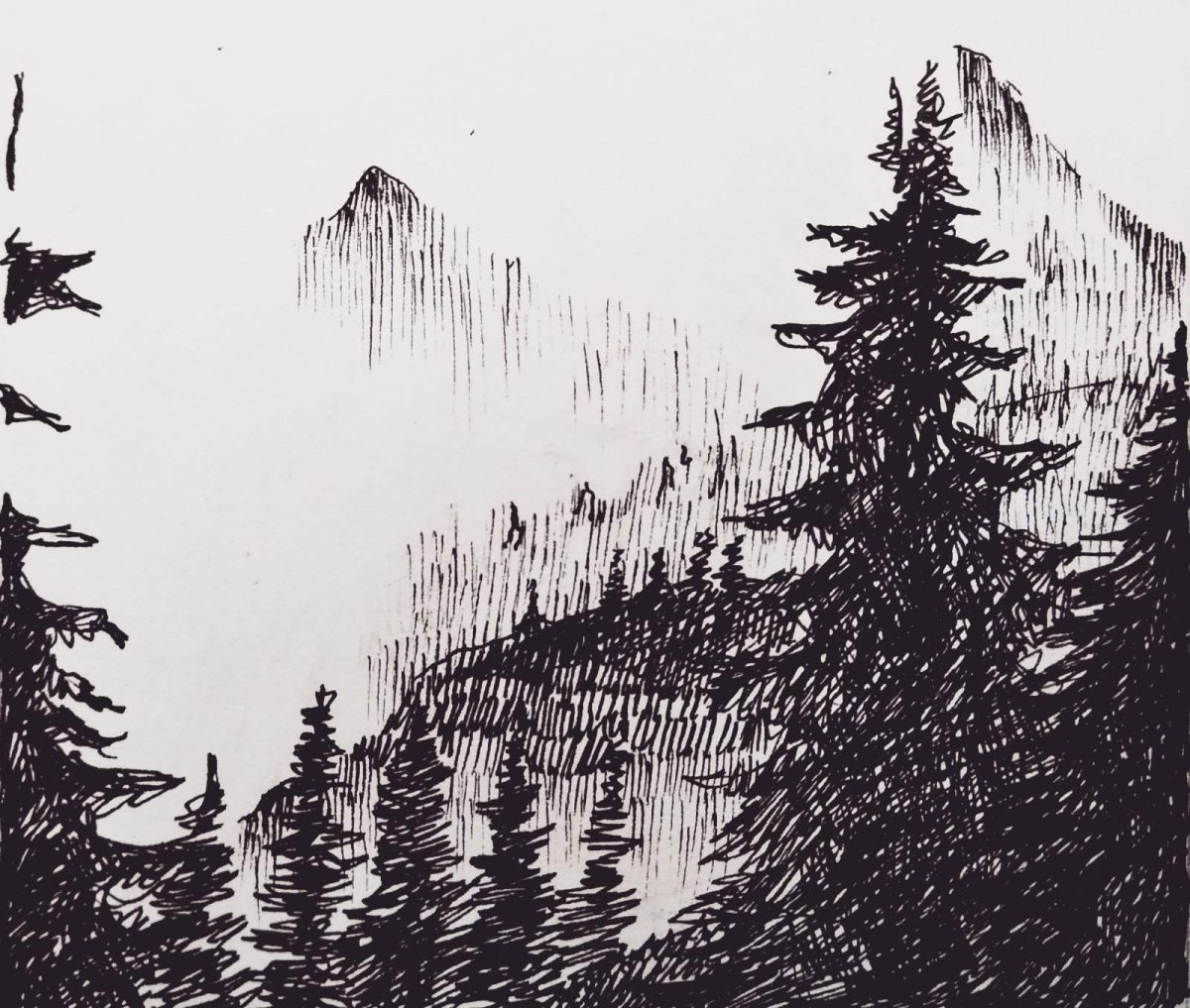 Силуэты животных в лесу