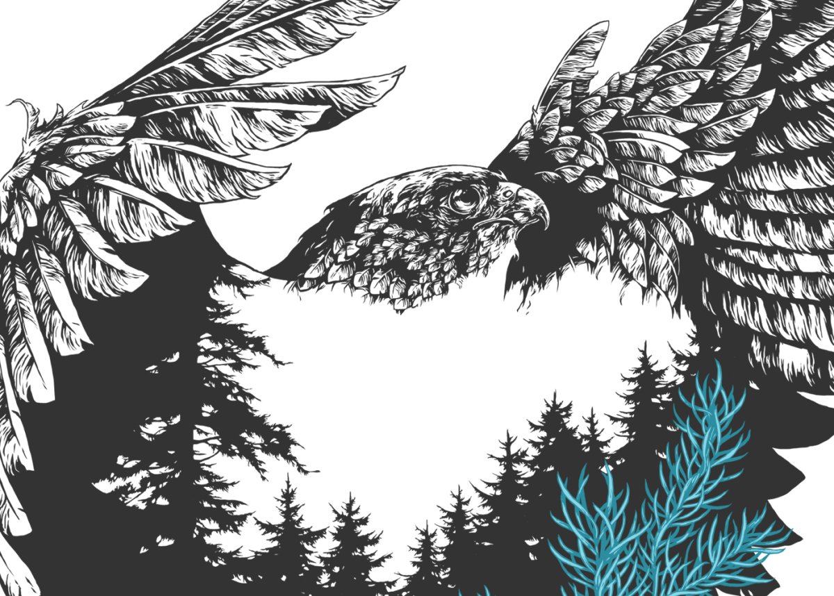 Раскраска природа