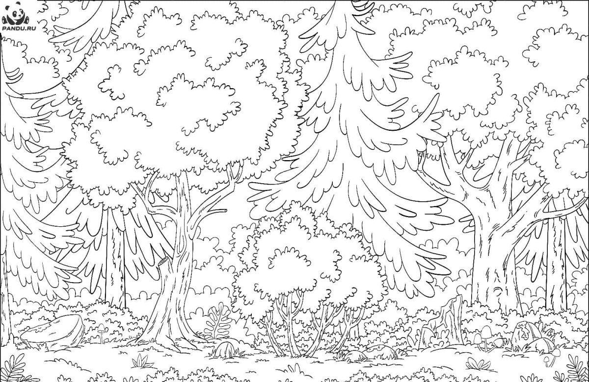 Зарисовки зимнего леса