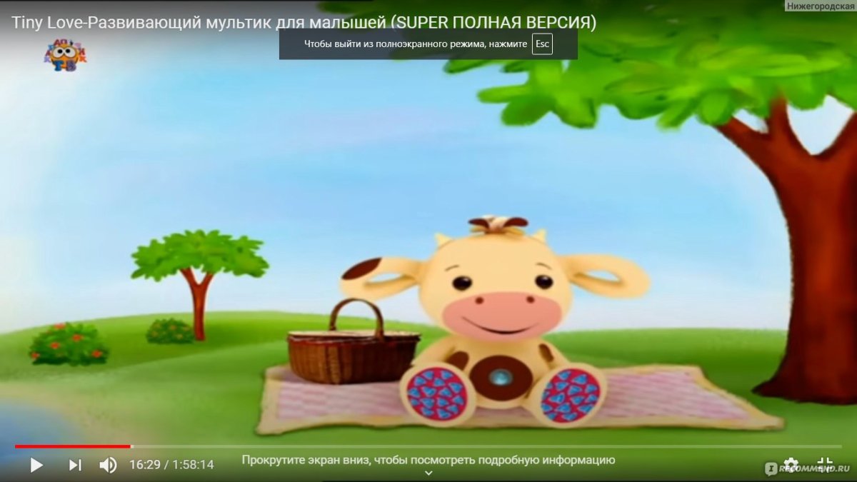 Раскраски для девочек животные много