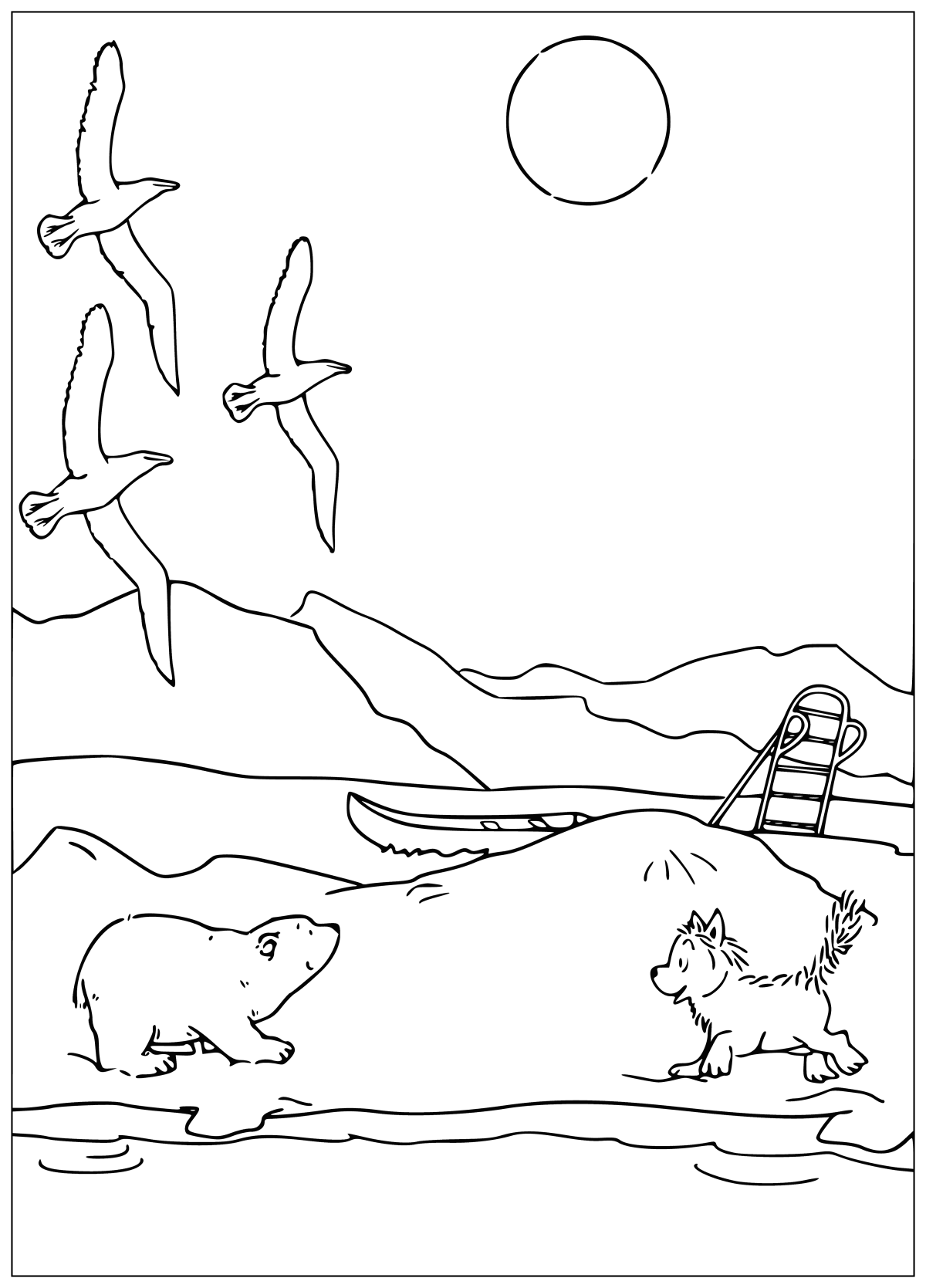 Экзотические птицы раскраска