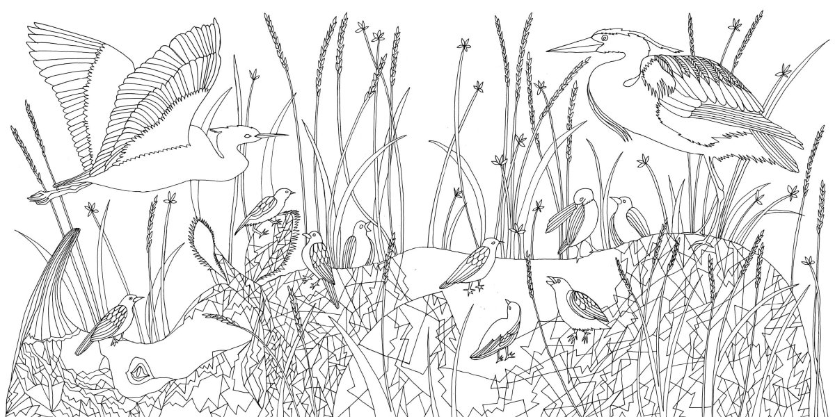 Раскраска Совушка