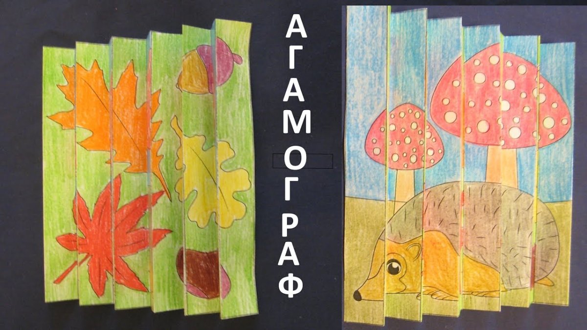 Агамограф день ночь