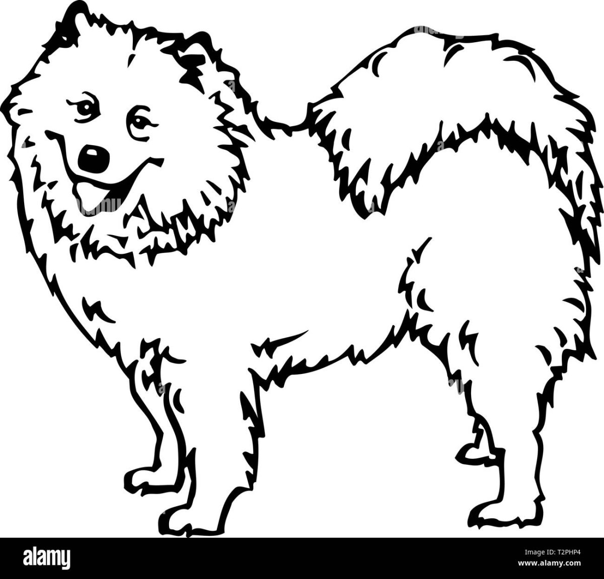 Самоед эскиз