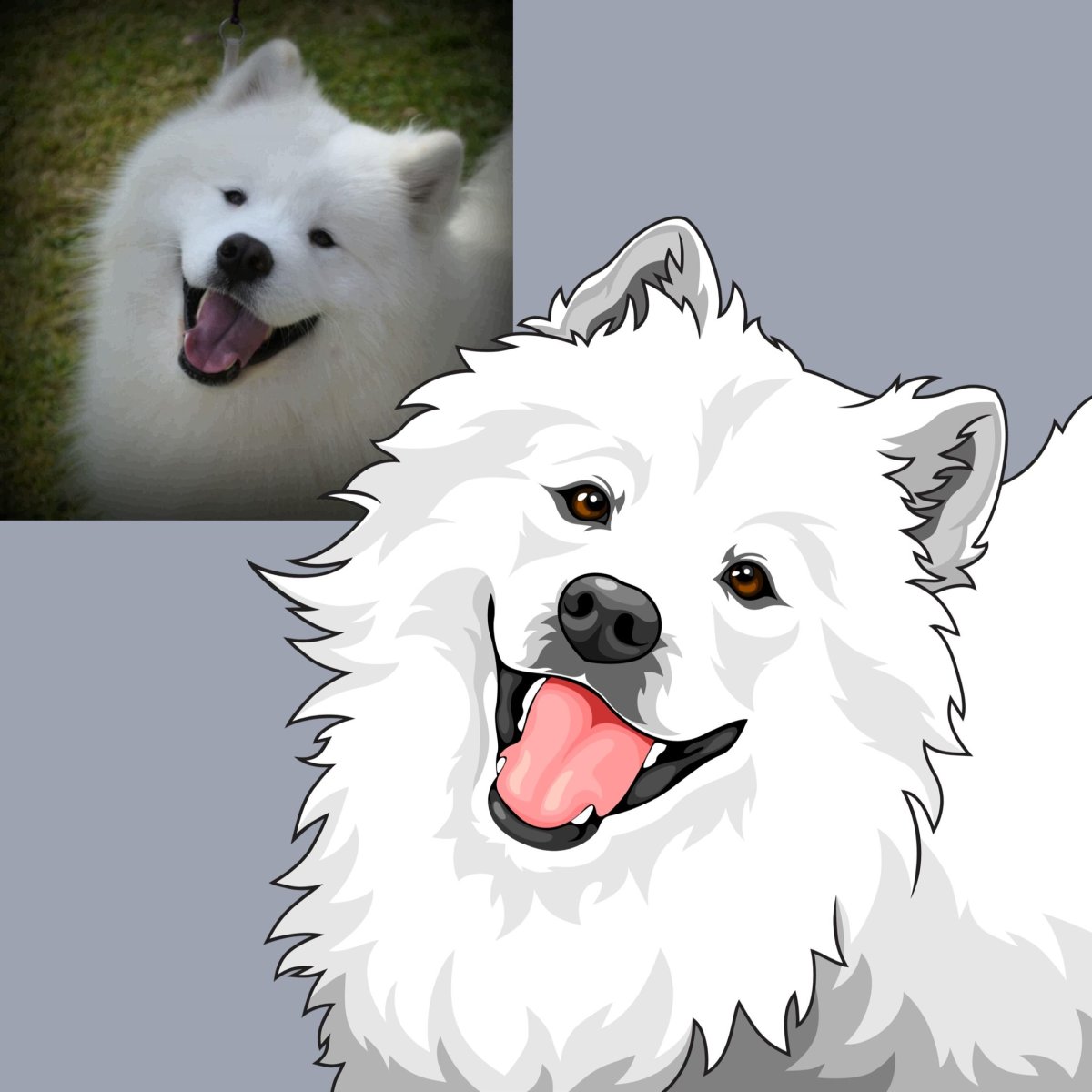 Лайка самоед рисунок