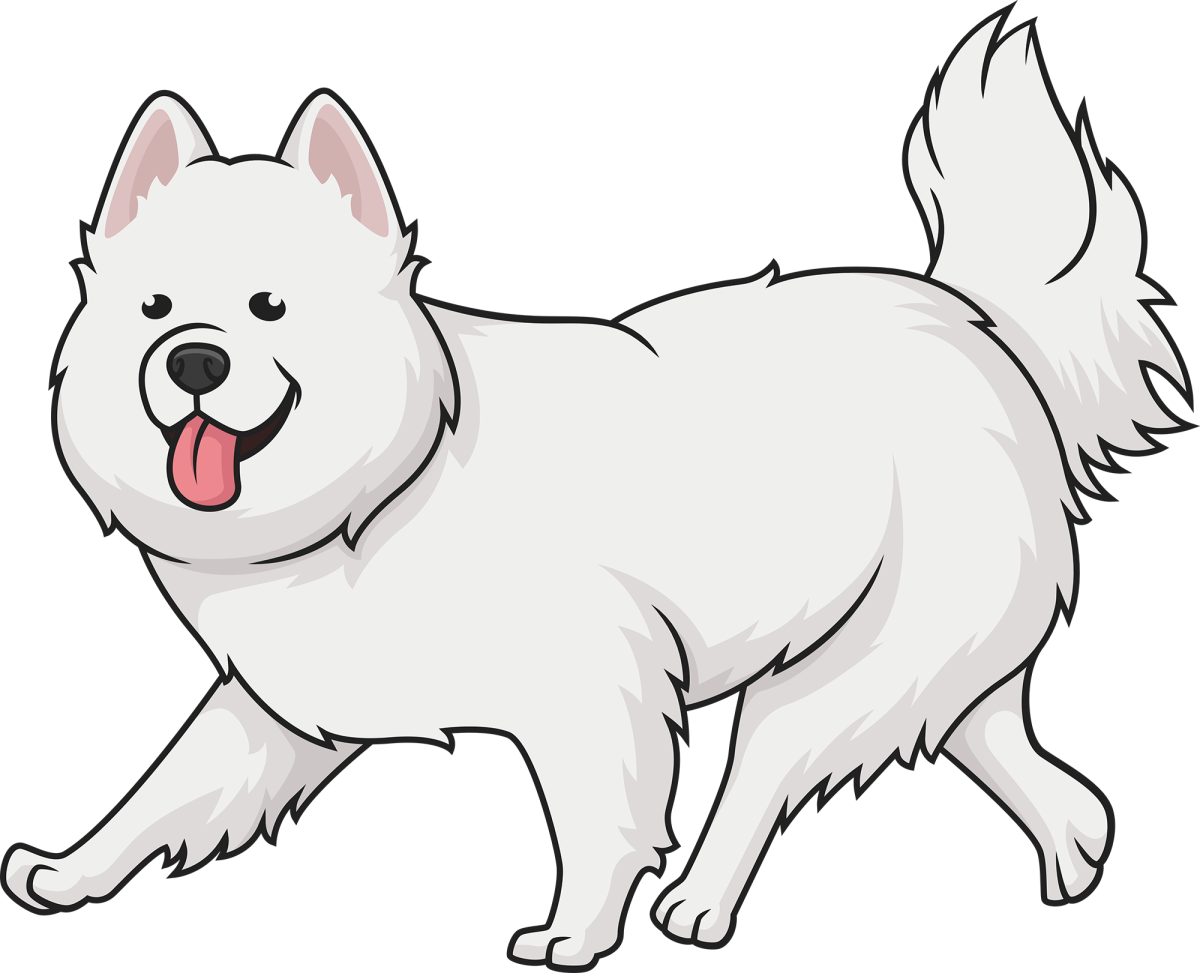 Шпиц рисунок