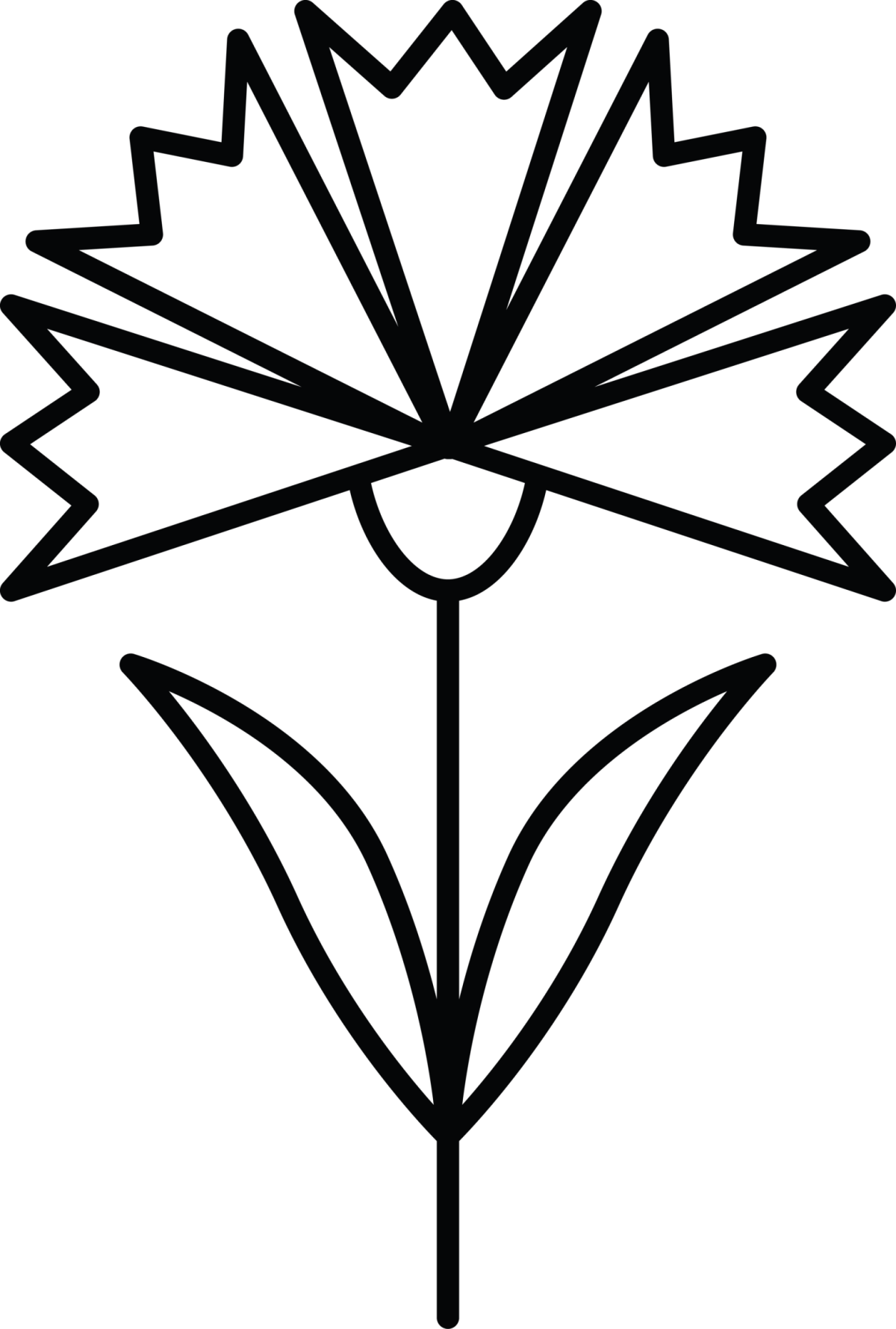 Гвоздика карандашом