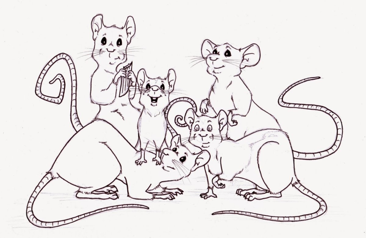 Раскраска мышка