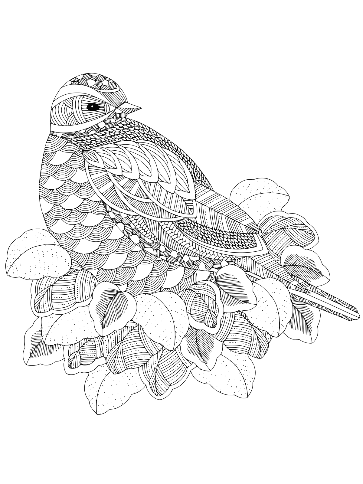 Антистресс птицы