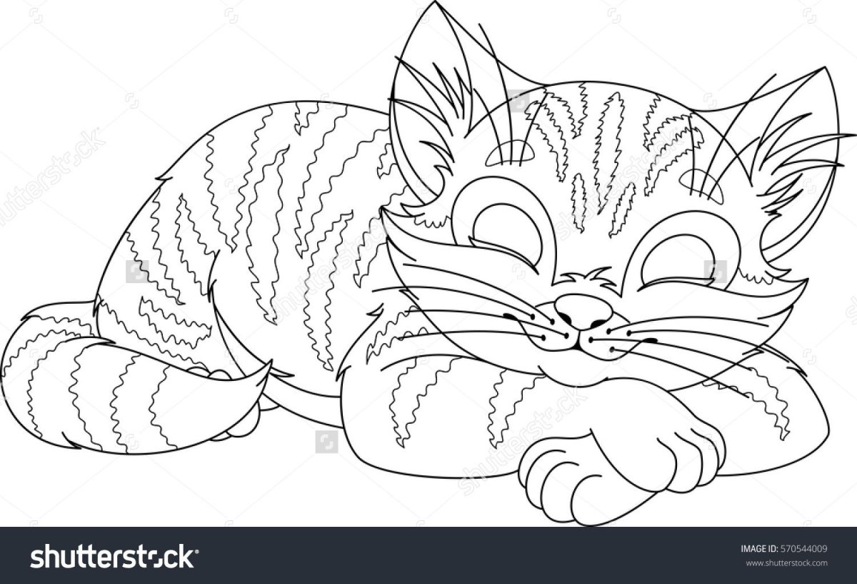 Новорожденный котенок на подушке раскраска