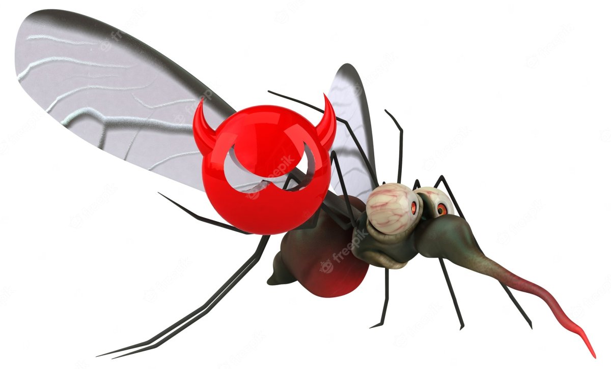 Кровососущие комары рисунок