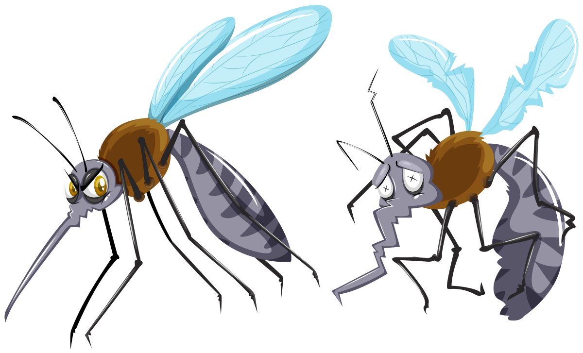 Смешной комар