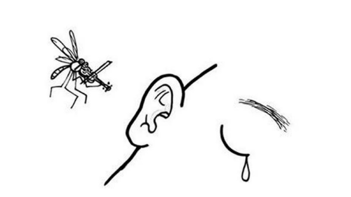 Насекомые карикатура