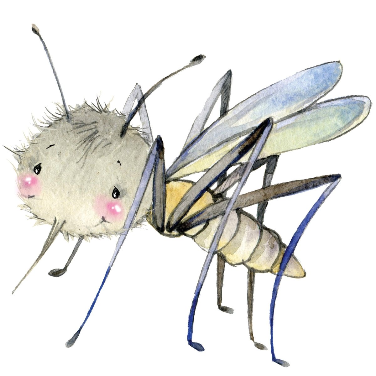 Комар черно белый