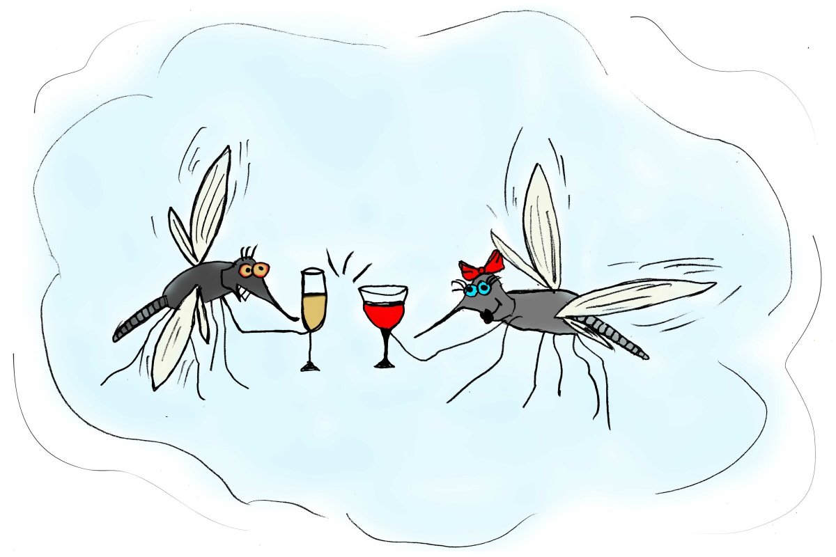 Иллюстрации а Комарова