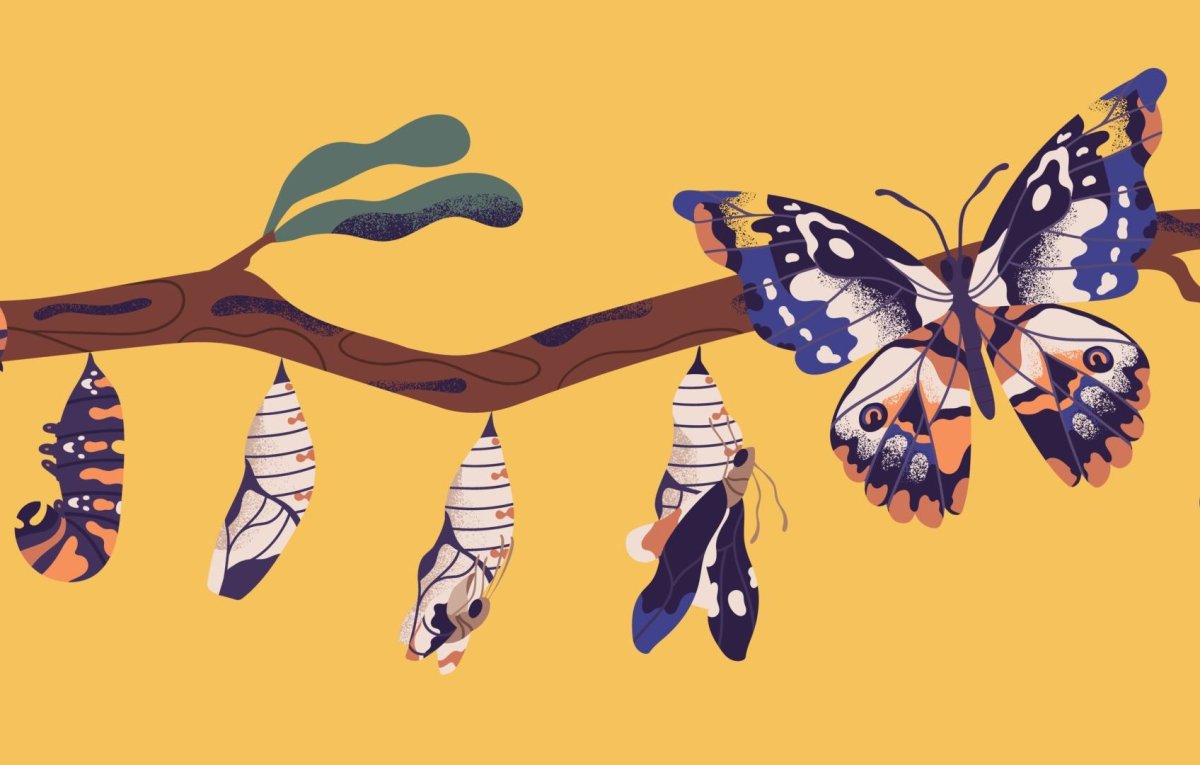 Превращение гусеницы в бабочку арт