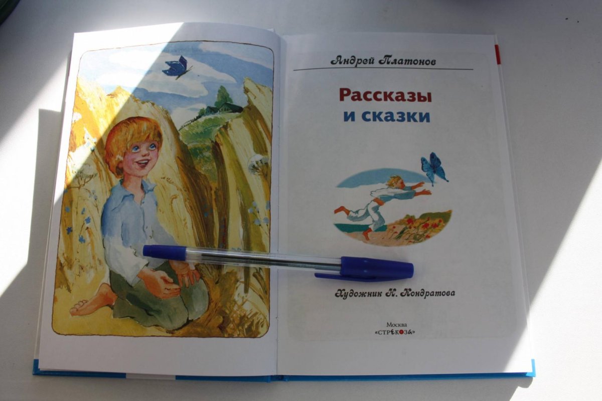 Короткая сказка Платонова