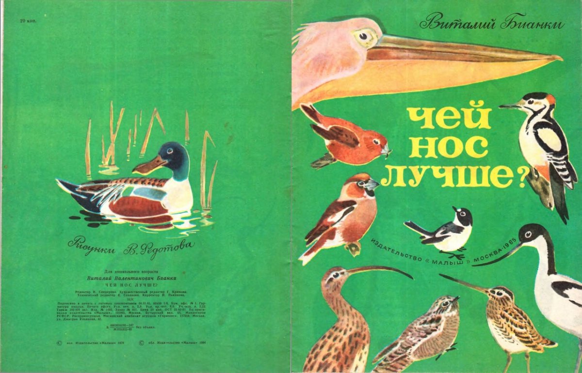 Колпица раскраска