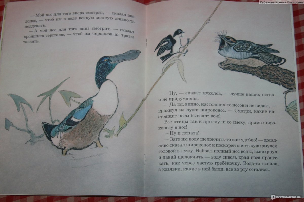 Чей нос лучше книга