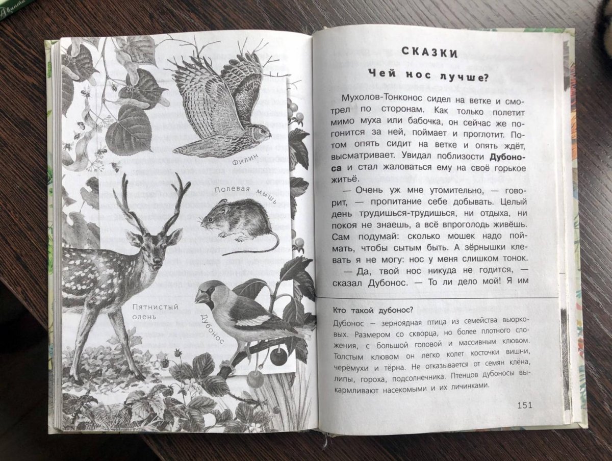 Бианки в.в. "птичьи разговоры"