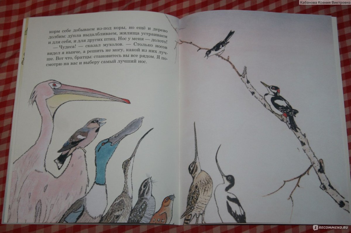 Сказка Бианки чей нос лучше