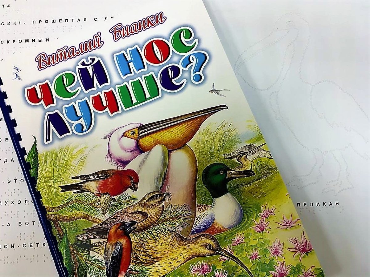 Раскраски Виталий Бианки