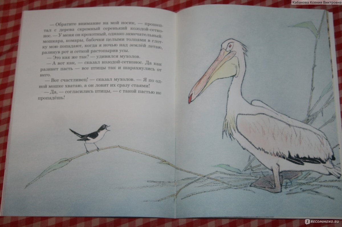 Бианки в.в. "чей нос лучше?"