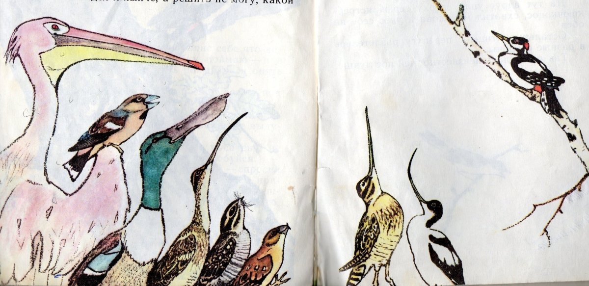 Виталий Бианки чей нос лучше