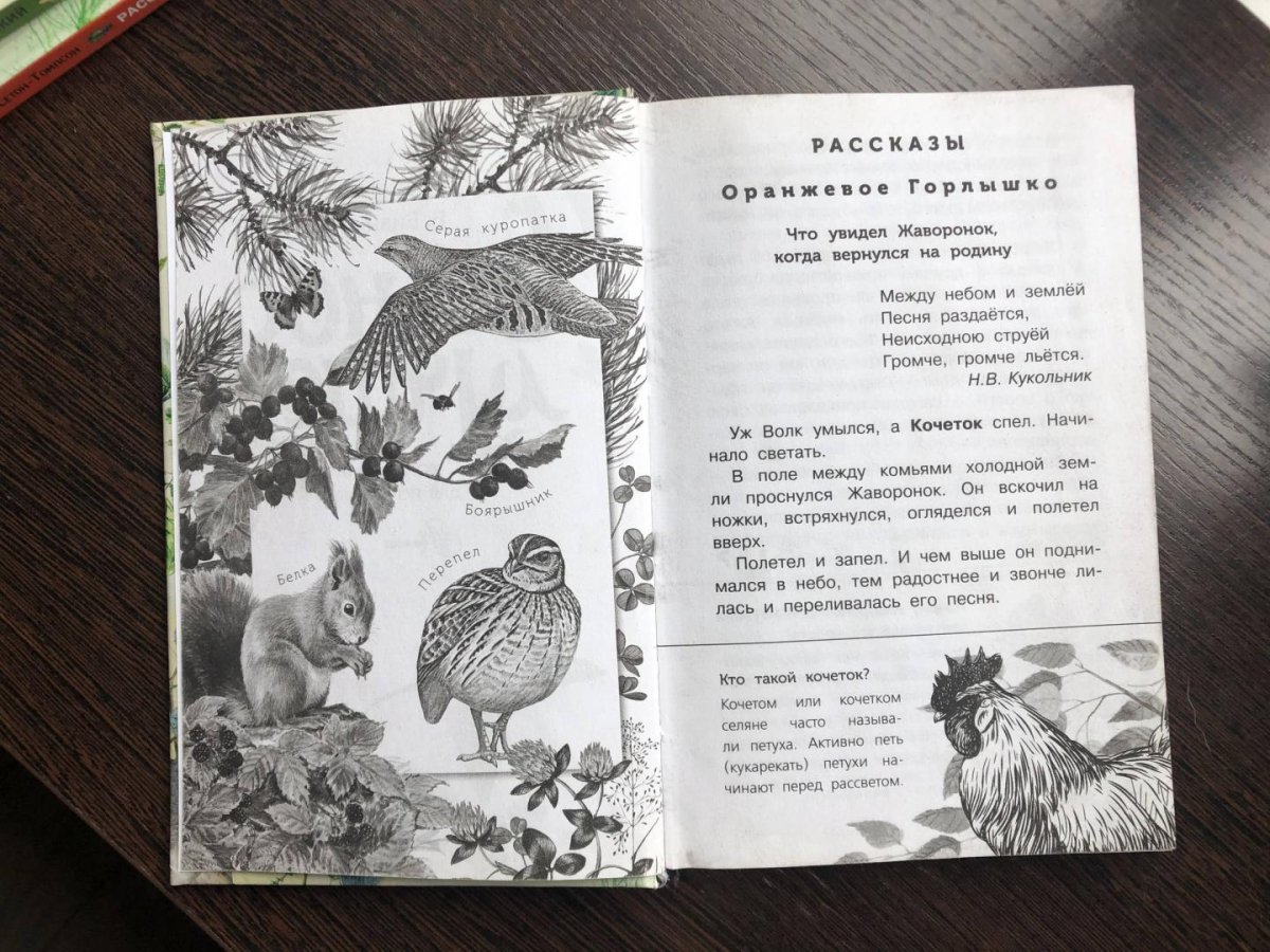 Виталий Бианки три весны