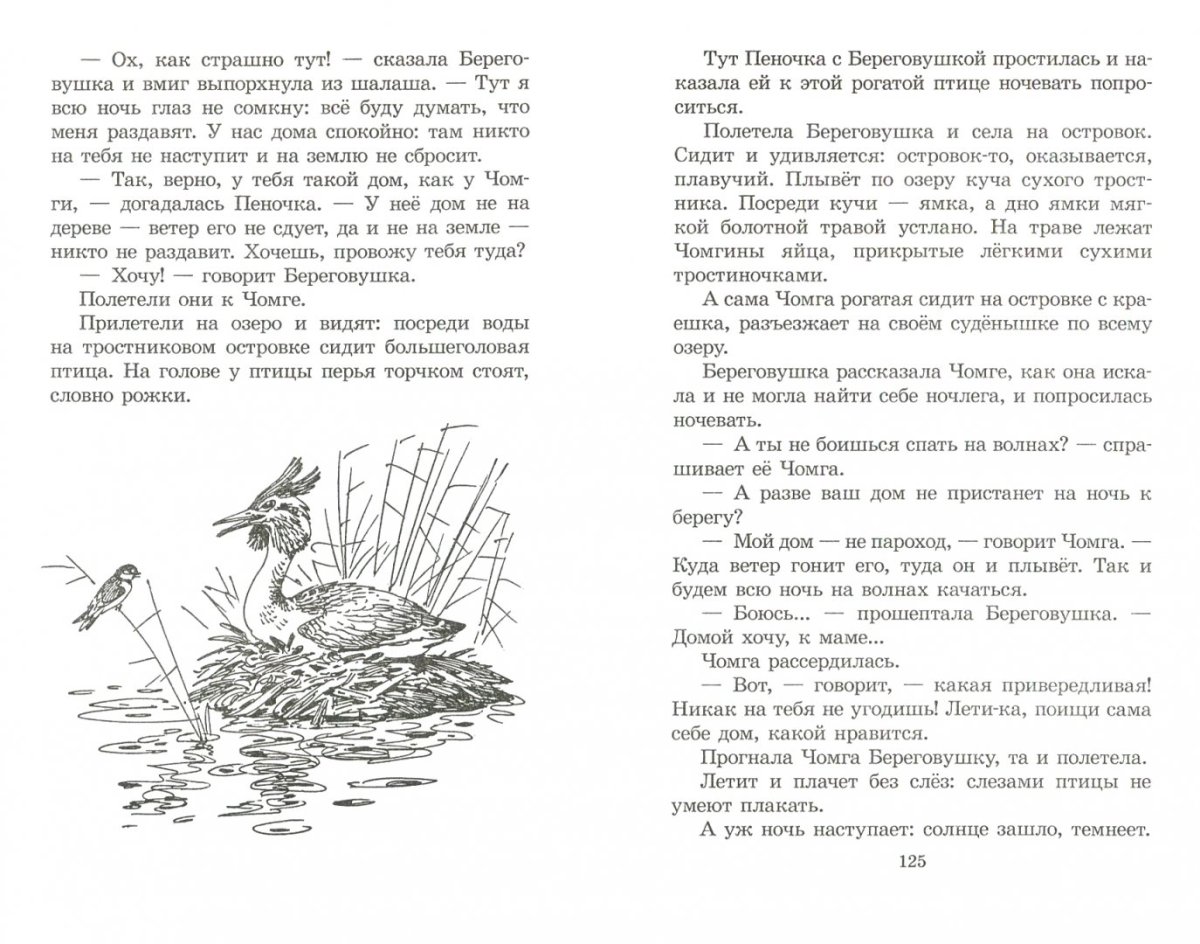 Пеликан раскраска для детей