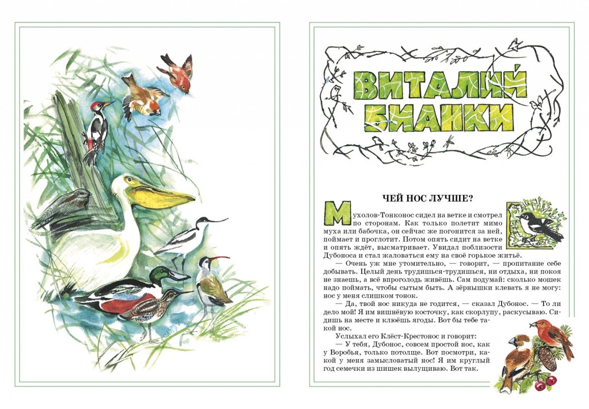 Раскраски птицы натуральные