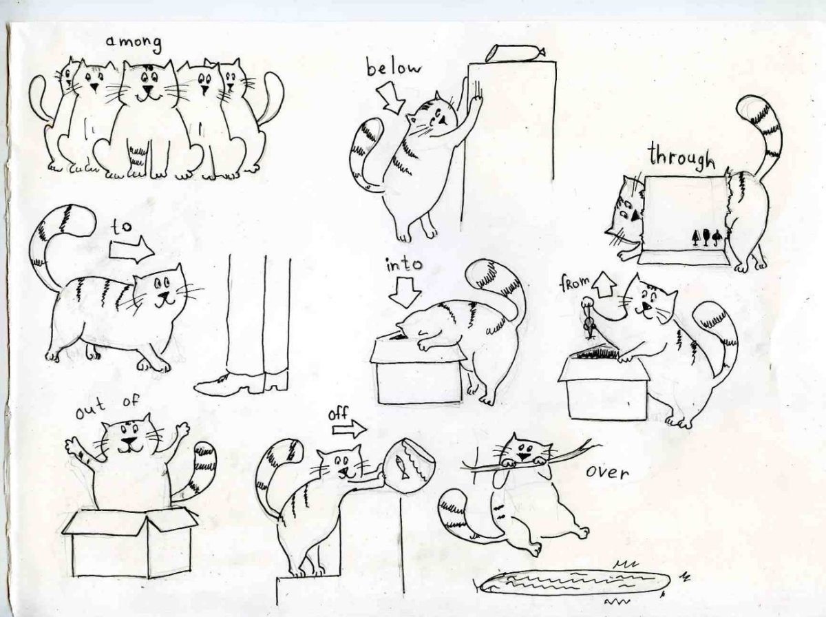 Твердые и мягкие задания для дошкольников