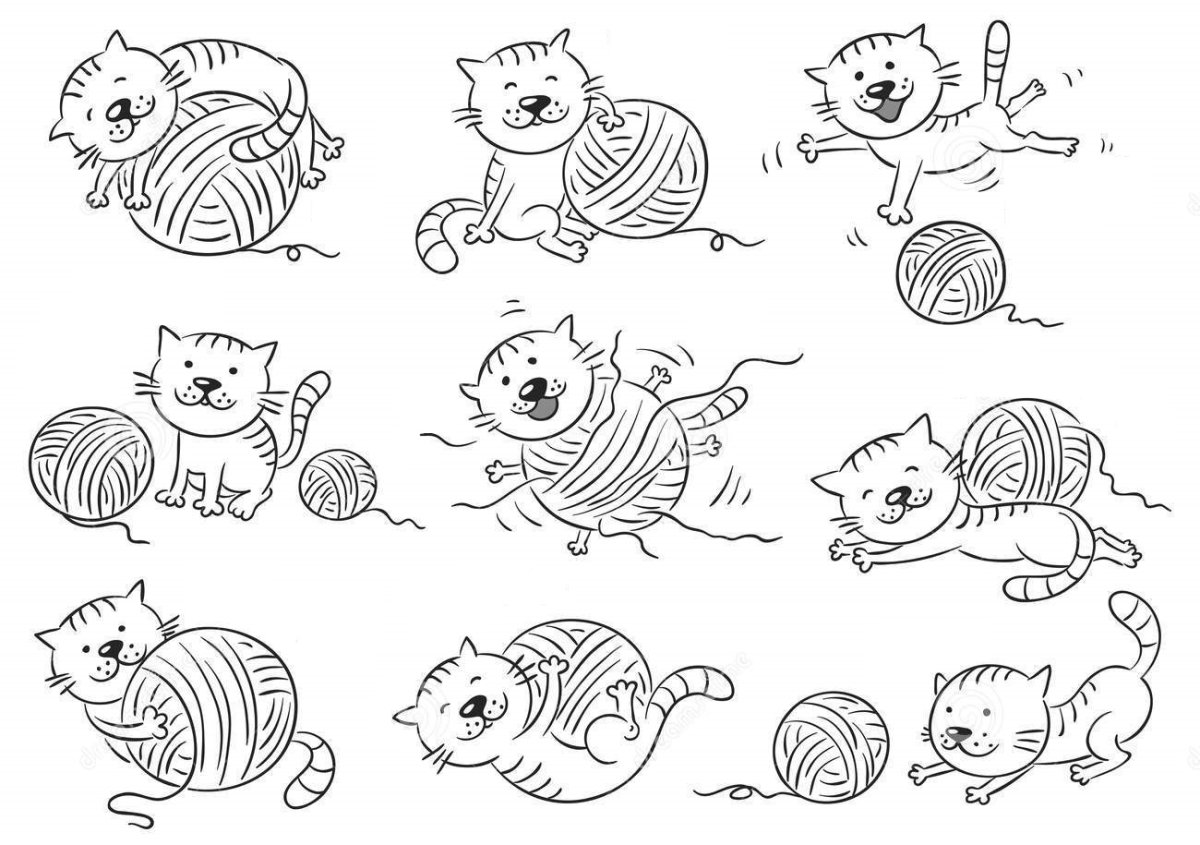 Предлоги Бардышева