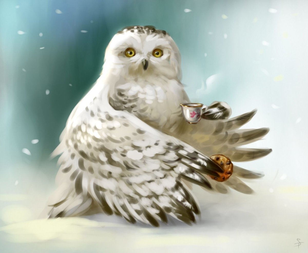 Совы Лиа Селина