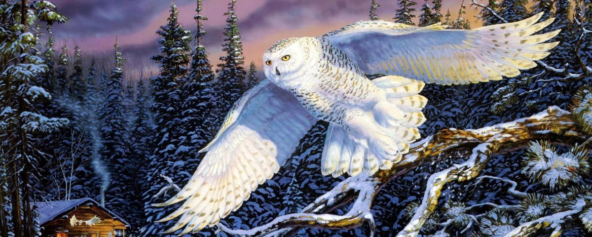 Полярная Сова в зимнем лесу