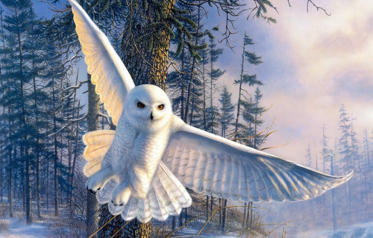 Снежная птица