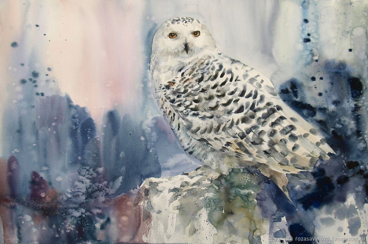 Совообразные Филин Полярные