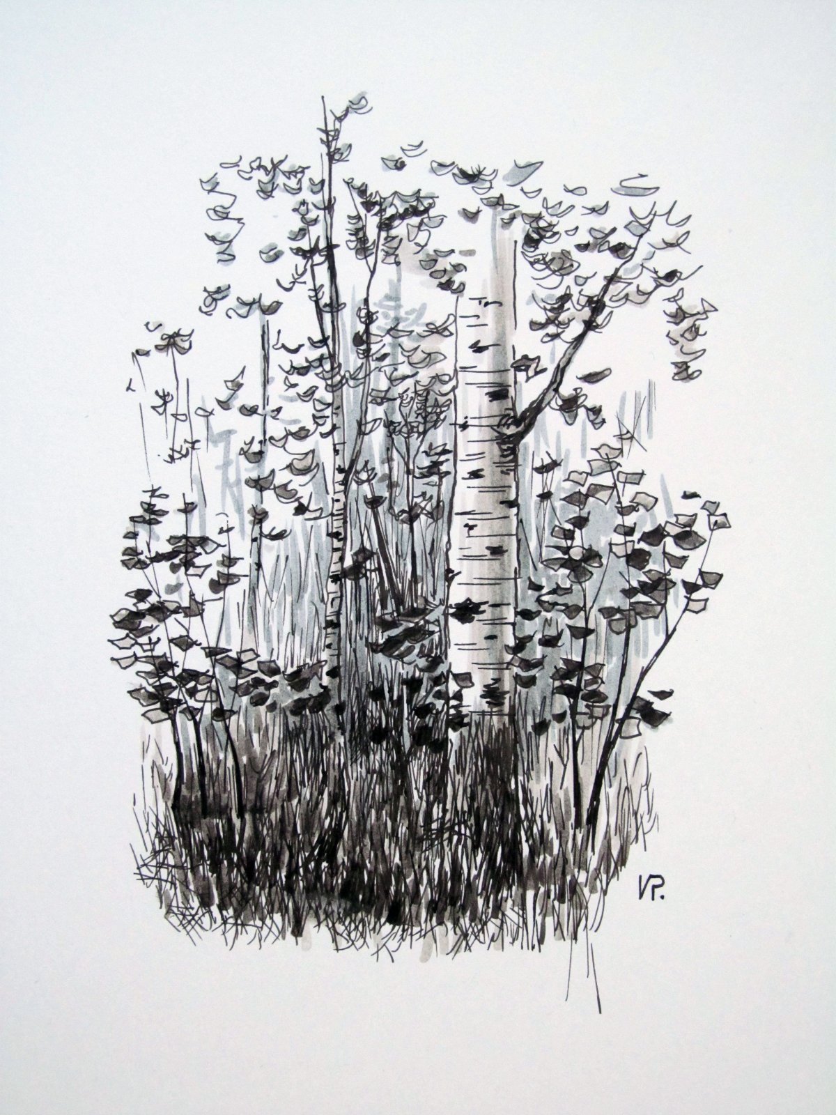 Стилизованная береза