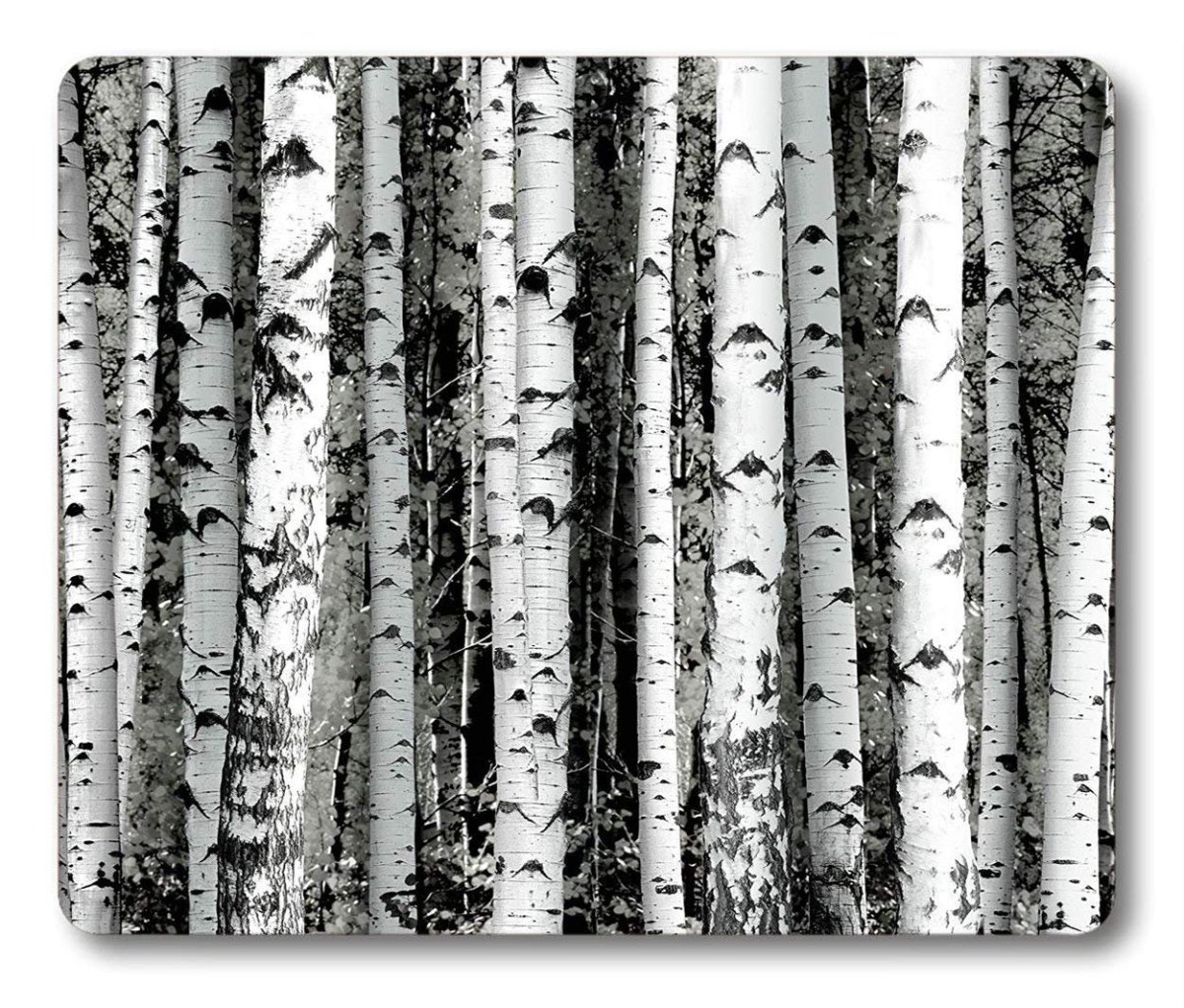 Береза паттерн