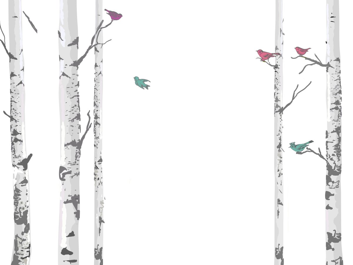 Береза на белом фоне