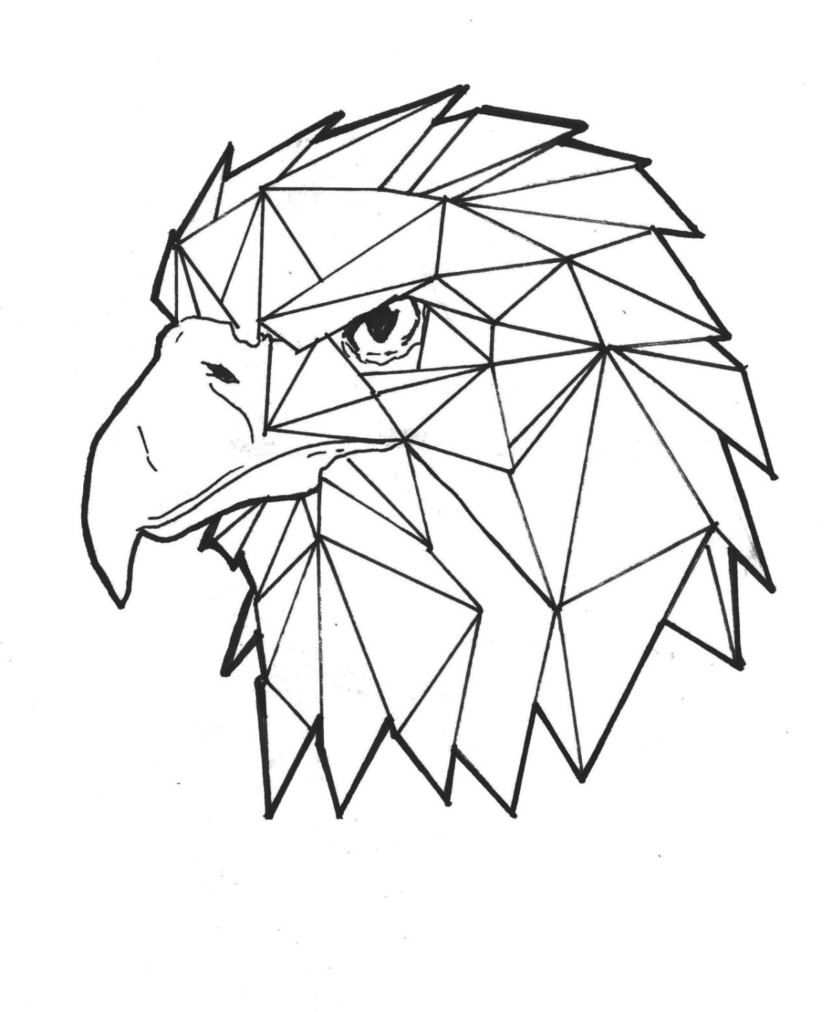 Геометрические фигуры животных