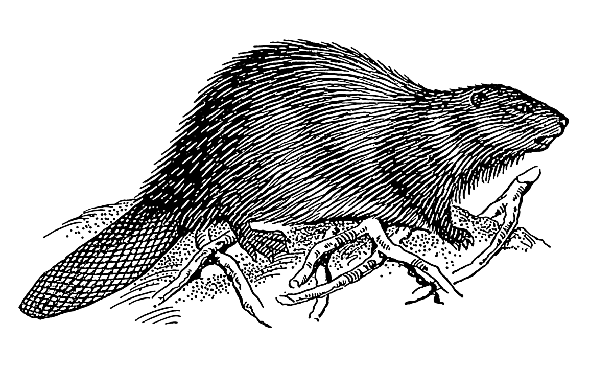 Контур мышь для детей