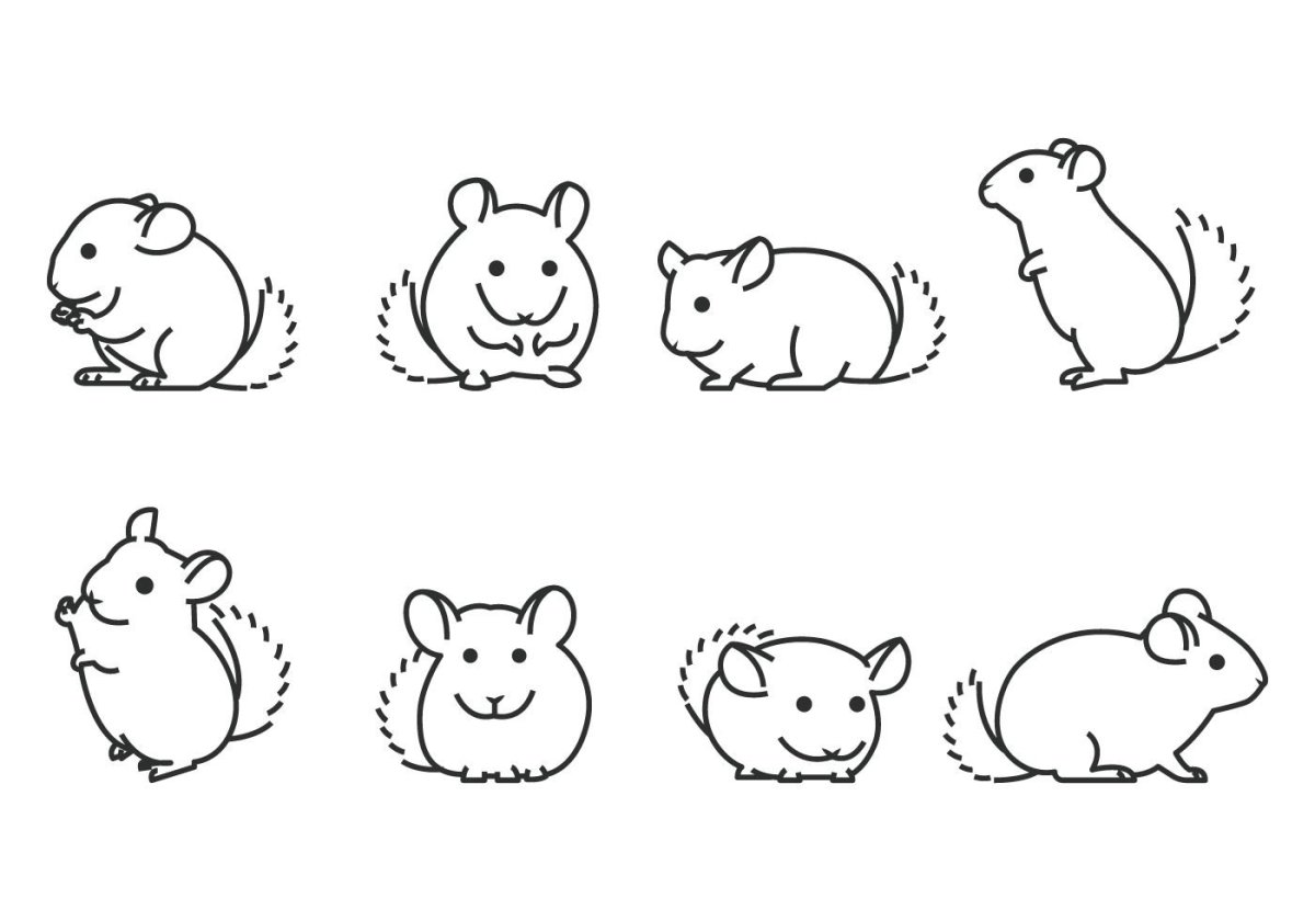 Раскраски хомяки милые