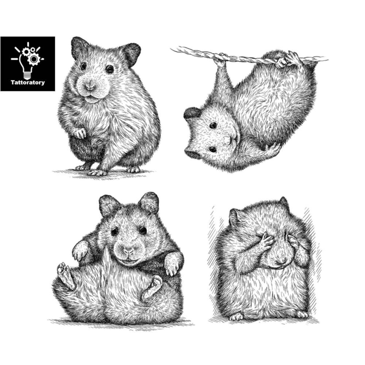 Раскраска хомячок